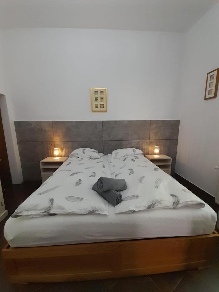 Pannonia Rooms And Apartments Сату-Маре Экстерьер фото